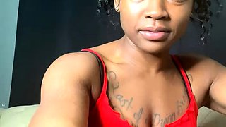 N2 The Gene Pool Black and Ebony