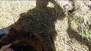 Naughty redhead Madelyn gives blowjob outdoors on POV
