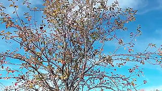 Perfect Body Tiny Petite Hana