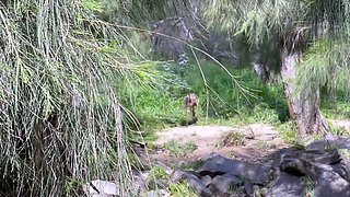 Public Nude Adventures Flooding River Handjob
