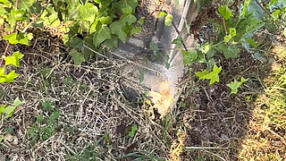 Only blowjob in public places with people watching ended up swallowing cum