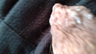 Man available to have his cock sucked