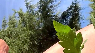 Pissing in My Garden.