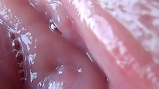 Close-up of a Plump Pussy