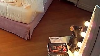 Leann amateur beautiful brunette with big boobs