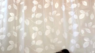 Amateur blowjob close up