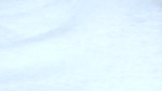 Ariel Andrews - Jiggletron 5000