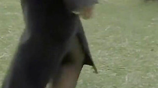 Italian MILFs and Teens Lick Each Other's Pussy and Play with Sex Toys