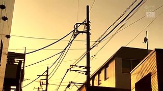 791-wguuhy-ouhsgy-poo-idv