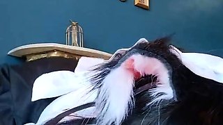 Solo Girl Free Amateur Webcam Porn Video