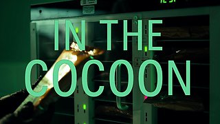 Hentaied - In The Cocoon