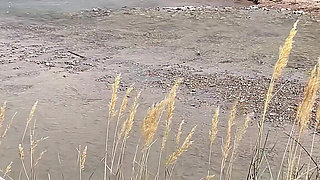 A Compilation of Public Pissing and Creampies in Nature! Road Trip! POV!