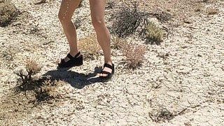 This Tree Looked Really Bad so I Decided to Help Em Out!