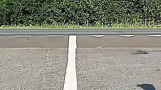 They Tease Drivers on the Highway