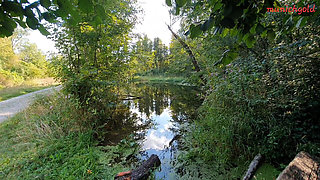 Munichgold's Outdoor Habdjob, Blowjob in the Forest... Have Fun