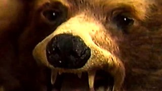 Perfect Pussy Close up milf Selda