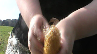 Corncub on the Car Jerking off