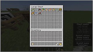 How To Have Sex In Minecraft Without Mods