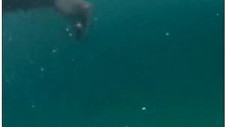 I Prepared Myself For Half Day But In The Beach Got 90 Y Old Hairy Monster Cock As Always