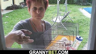 Granny Bet - short hairs action