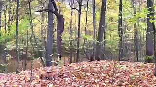 Cosplay Party with Naughty Jason