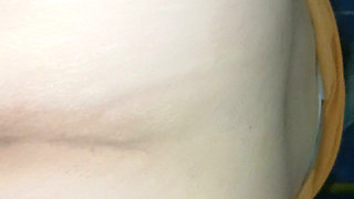 My neighbor loves to be hit on all fours