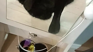 Fantasy Show with Panties and Stockings