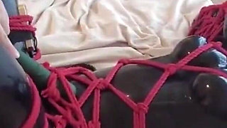 Mz15 - a Puppy Wearing a Latex Suit and Bound by a Red Rope.