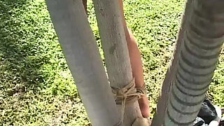 Cabo: Weekend Nightmare Part 2