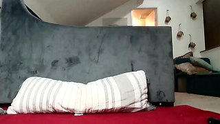 Brunette and her toys have close up masturbation sex