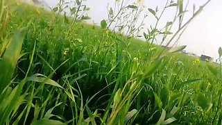 Abida Parveen Gets Fucked Hard in Khet, Then Stopped When Someone Comes