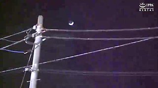 488-youth-with-areare-vec