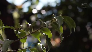 876-season-ending-who-awd