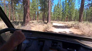 Whore fucks big cock after blowjob outdoors