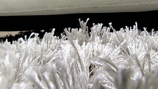 Cute amateur brunette naughty in solo jerking show on camera