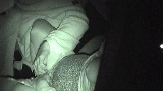 Skinny brunette MILF sucks and fucks a big cock