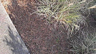 Hot Fudge Tasty Feet Left Foot Wrapped at the Bus Stop