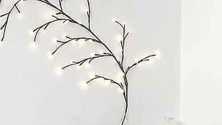 Homemade Interracial Creampie