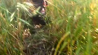 Desi Bhabhi Sukunmi Outdoor Bathroom Fuck - Big Tits Jungle Sex in the Field