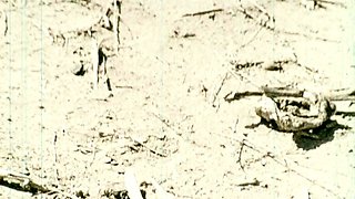 Extreme hardcore amateur pov blowjob