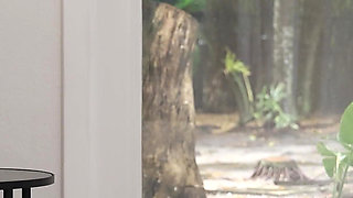 Sexy Latina Amateur Just Wanted Her Pussy Pounded Harder and Harder