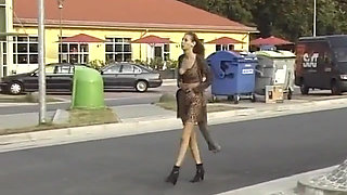Public Piss and Fucking