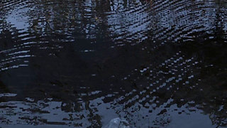 My Girlfriend Wants a Threesome! (cheating Part 05) - by Sieglinnde