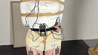 Limit Electric Shock and Voice-controlled Electric Shock Penalty Standing