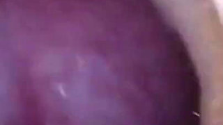 Sperm Giant in Hamburg