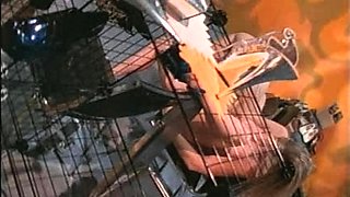 Dani Daniels and blonde lesbian lick asshole