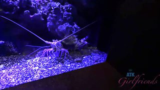 Audrey Charlize: Her Time at the Aquarium Was Nice, but the Creampie Was Even Better
