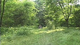 Raunchy girls outdoor soul-stirring sex story