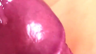 Delicious Kitty Blowjob