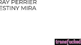 Rough fucking in HR office with tranny